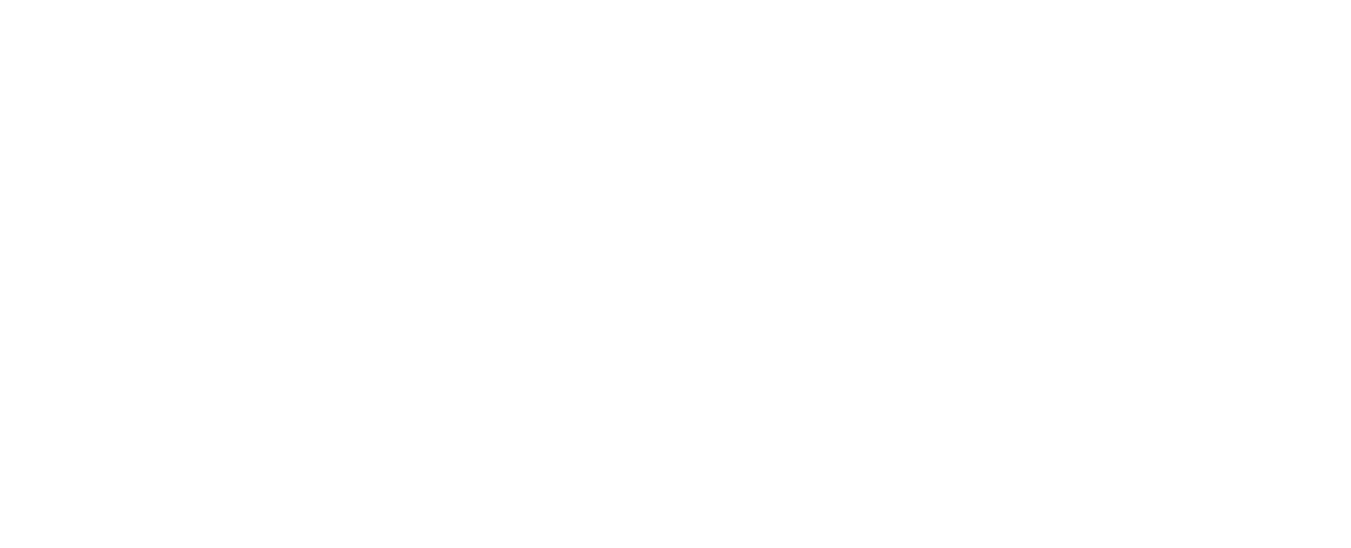 Naisu Agency Logo
